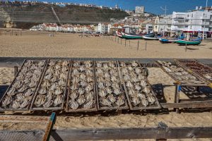 191010-27-Nazare-26-Beach-fish-drying