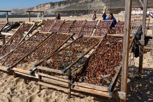 191010-28-Nazare-27-Beach-fish-drying