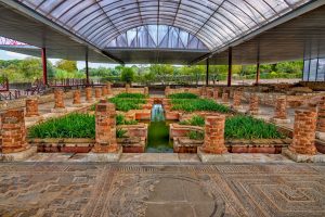 191012-07-06-Nazare-to-Coimbra-Conimbriga-Roman-mosaics