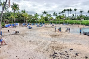 Photos-200115-1-Makaiwa-Beach-1st-day