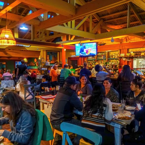 Photos-200116-1--Fish-and-the-Hog