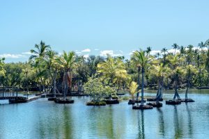 Photos-200118-02-Mauna-Lani-Fish-ponds