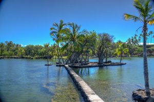 Photos-200118-07-Mauna-Lani-Fish-ponds