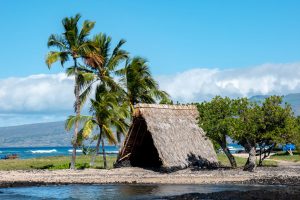 Photos-200118-08-Mauna-Lani