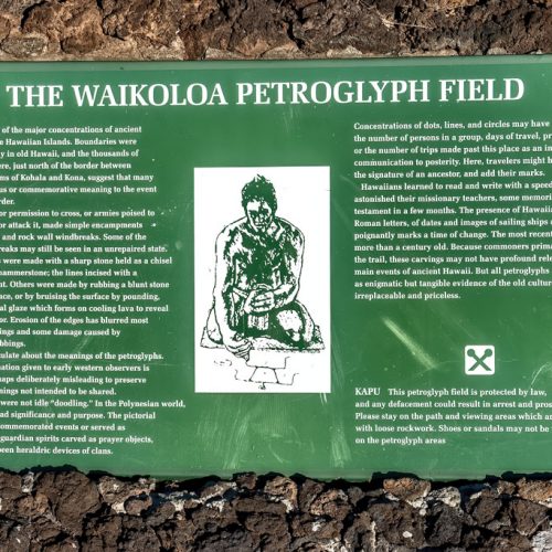 Photos-200118-12-Waikoloa-Petroglyphs