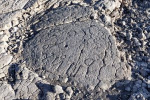 Photos-200118-13-Waikoloa-Petroglyphs