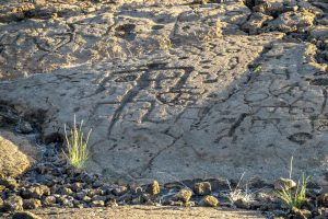 Photos-200118-15-Waikoloa-Petroglyphs