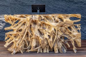 Photos---200119-05-Mauna-Lani-Teak-Root-desk