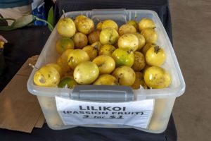 Photos---200122-06-Waimea-farmers-market