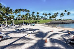 Photos---200131-01-Makaiwa-Beach