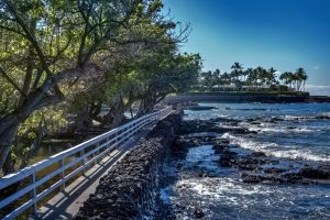 Photos---200208-03-Mauna-Lani-Resort