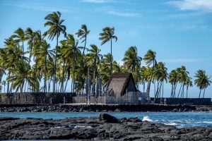 Photos---200213-02-Place-of-Refuge