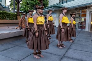 Photos---200214-16-Hula