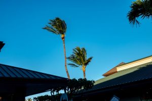 Photos-200218-01-windy-day