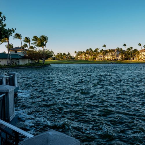 Photos-200218-03-windy-day