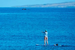 Photos---200222-04-Makaiwa-Beach-Whale