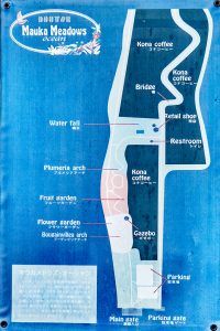 Photos---200228-04-Doutor-Mauka-Meadows