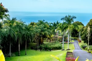 Photos---200228-05-Doutor-Mauka-Meadows