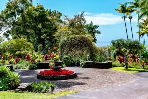 Photos---200228-09-Doutor-Mauka-Meadows