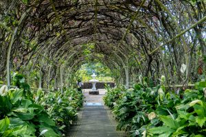 Photos---200228-14-Doutor-Mauka-Meadows