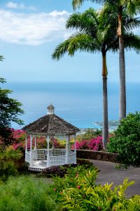 Photos---200228-15-Doutor-Mauka-Meadows