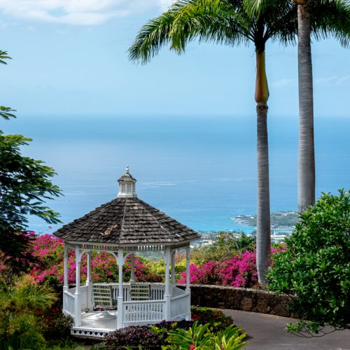 Photos---200228-15-Doutor-Mauka-Meadows