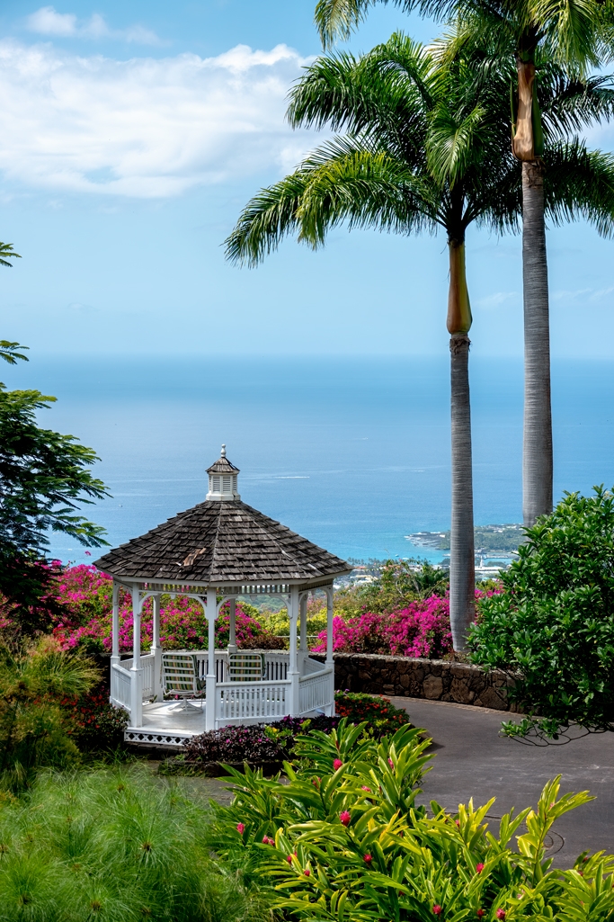 Photos---200228-15-Doutor-Mauka-Meadows