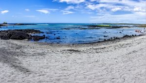 Photos---200229-03-Kaloko-Honokohau