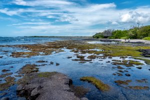 Photos---200229-04-Kaloko-Honokohau