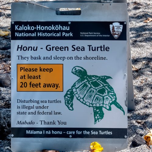 Photos---200229-06-Kaloko-Honokohau-aka-Turtle-Beach