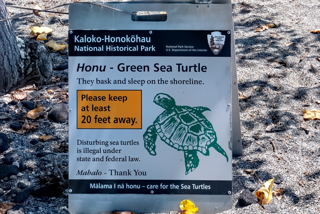 Photos---200229-06-Kaloko-Honokohau-aka-Turtle-Beach