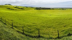 Photos---200303-03-Kohala-Parker-Ranch