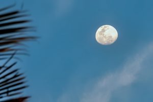 Photos-200306-06-Moon