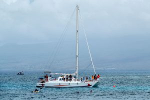 Photos---200316-02-Makaiwa-Beach-Manu-Iwa