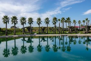 191011-07-Nazare-06-Buddha-Eden-Winery-garden