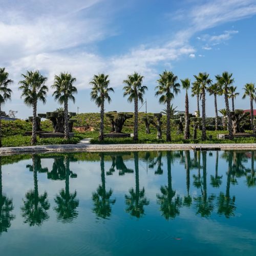 191011-07-Nazare-06-Buddha-Eden-Winery-garden