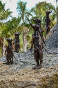 191011-15-Nazare-14-Buddha-Eden-Winery-garden