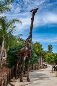 191011-17-Nazare-16-Buddha-Eden-Winery-garden