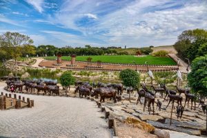 191011-18-Nazare-17-Buddha-Eden-Winery-garden